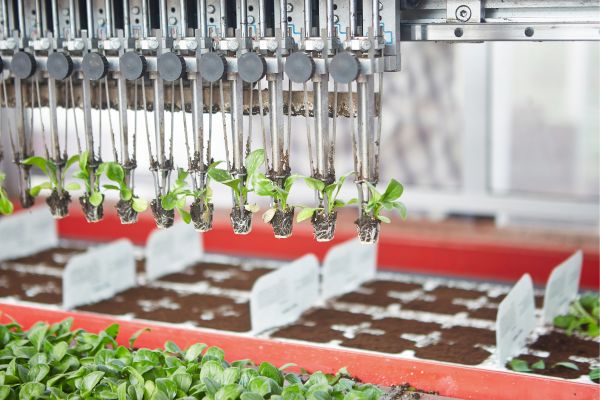 automated-robot-planting-shoots