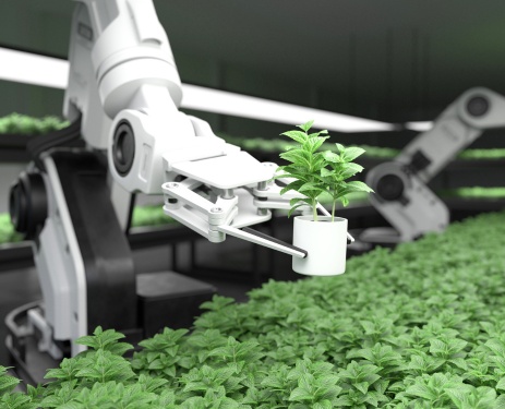 Agricultural-robots-at-work