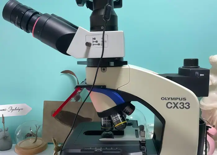 Olympus CX33 trinocular biological microscope for pathology and cell observation